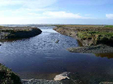 Rckgebautes Siel